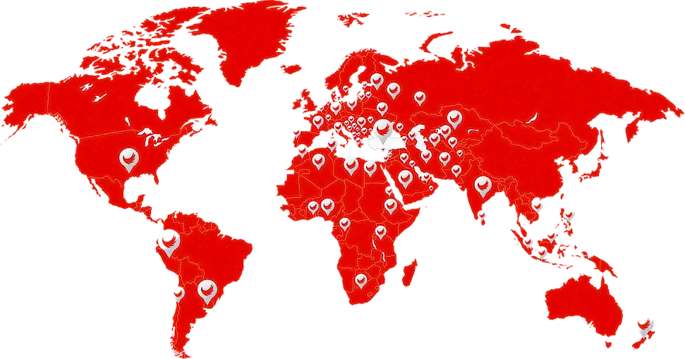 BVN Global